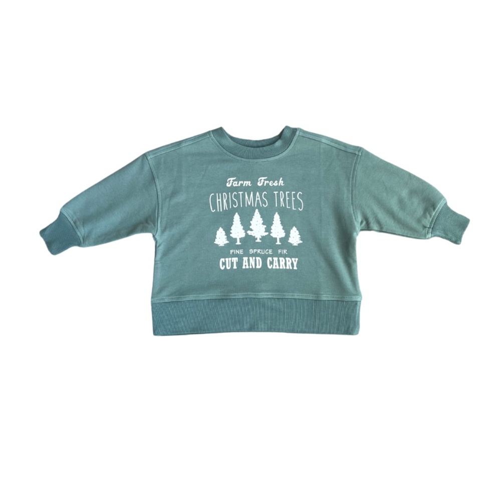 Babysprouts Farm Fresh Christmas Trees Boxy Sweatshirt 4T NWT Bamboo Terry
